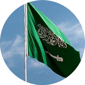 gover oment of saudi arbaia gover oment of saudi arbaia