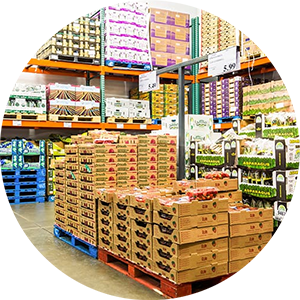 wholesale wholesale
